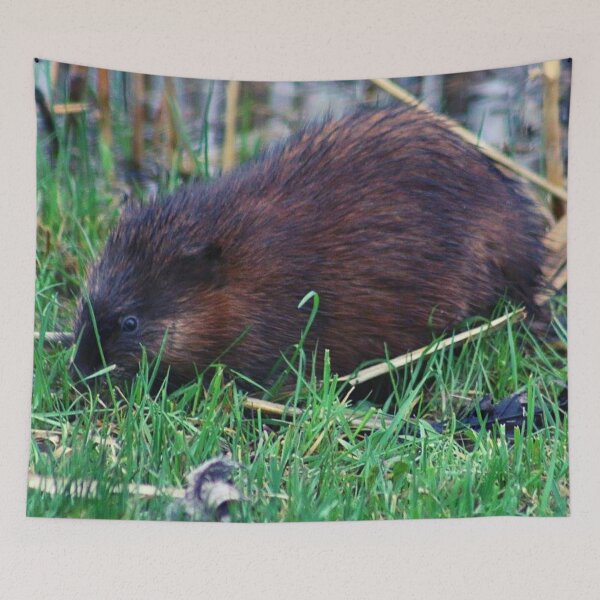 Item preview, Beaver  designed and sold by TorieWear.