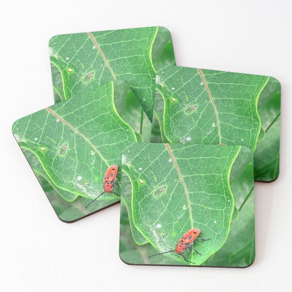 Item preview, Orange Bug on Milkweed Leaf designed and sold by Ladydi.