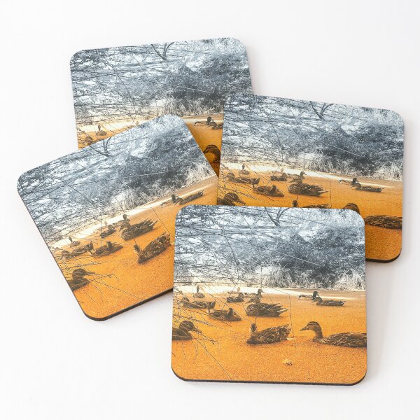 Item preview, Ducks in a Pond designed and sold by Daniel Friedlander.