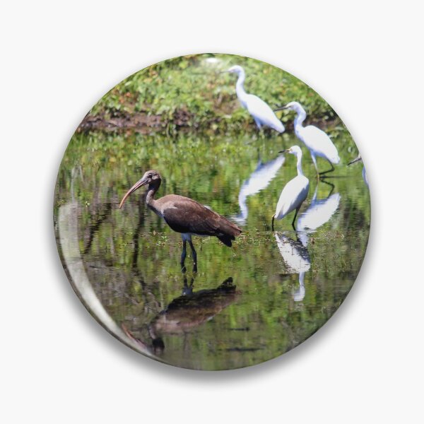 Item preview, Egrets And Ibis designed and sold by Cynthia48.