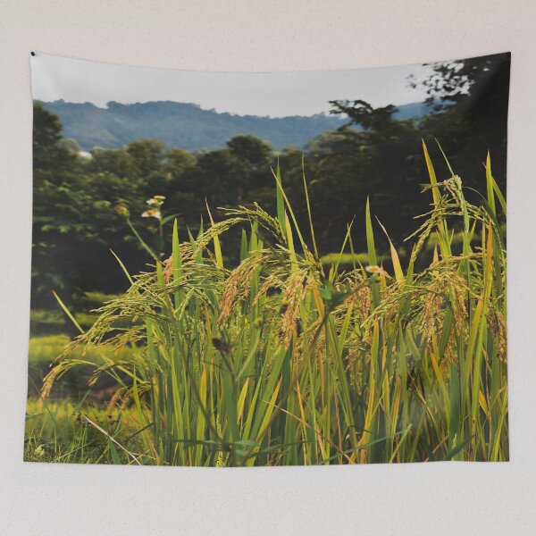 Item preview, Fall season paddy field designed and sold by Mariolangstieh.