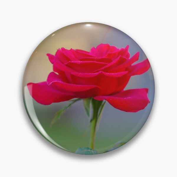 Item preview, Red Red Rose designed and sold by JohnDSmith.