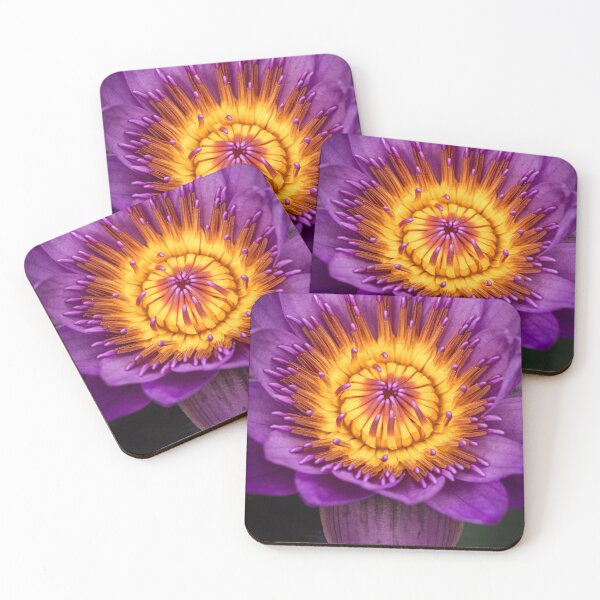 Item preview, water lily designed and sold by alan shapiro.