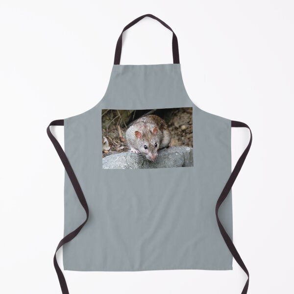 Item preview, Rat at the park designed and sold by Linda Walsh.