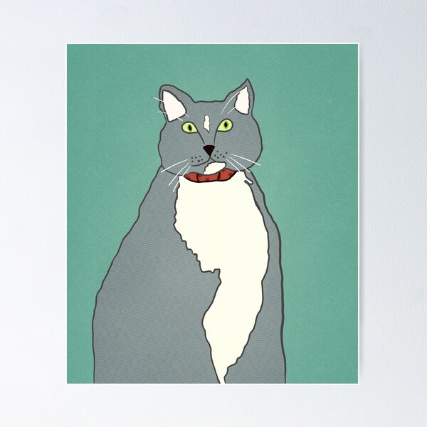 Grey cat Poster