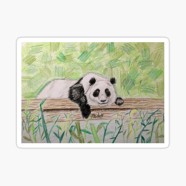 Panda Sticker