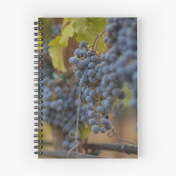 Item preview, Wine not designed and sold by Barry Buchholtz.