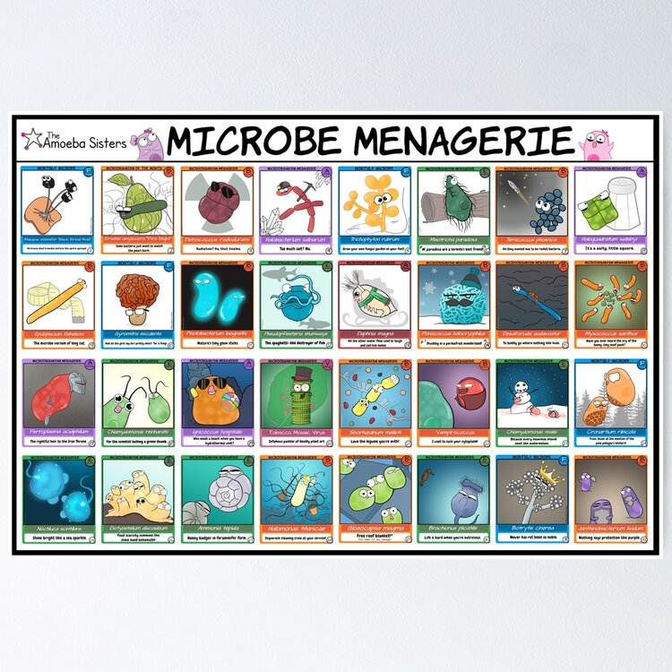 Microbe Menagerie Trading Cards Poster