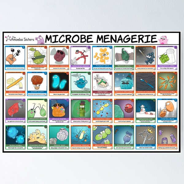 Microbe Menagerie Trading Cards Poster