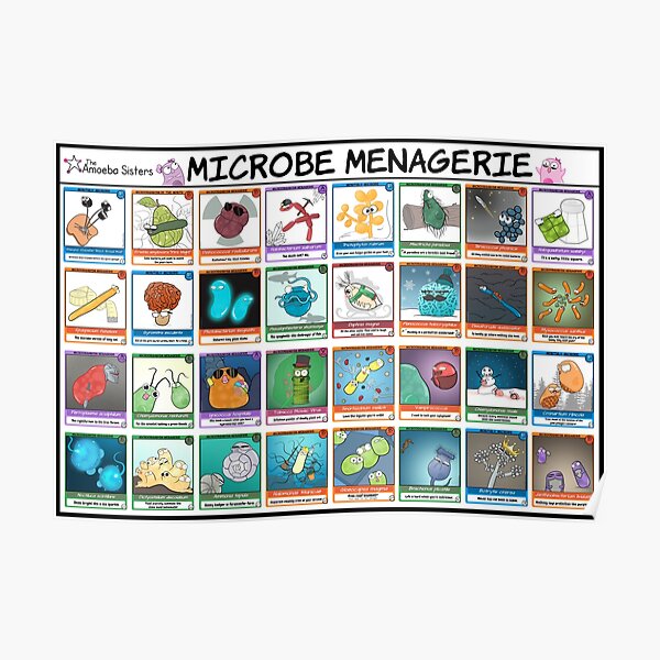Microbe Menagerie Trading Cards Poster