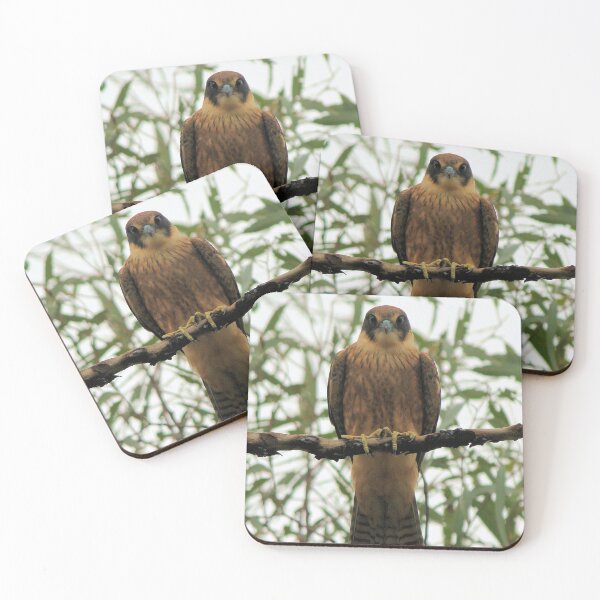 Item preview, Australian Hobby designed and sold by CazDPhotos.