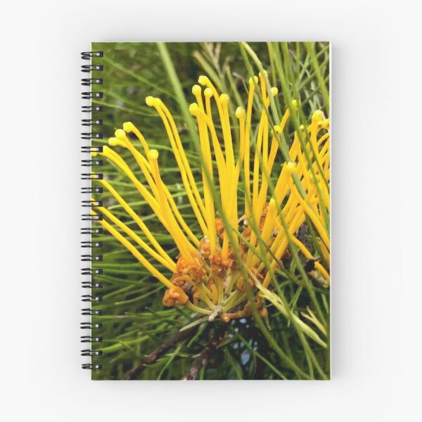 Item preview, Great Grevillea - Yellow designed and sold by KazM.