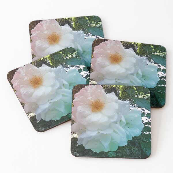 Item preview, White roses,  pink - blue lighting and a few drops of dew. designed and sold by XANTHIPPI.