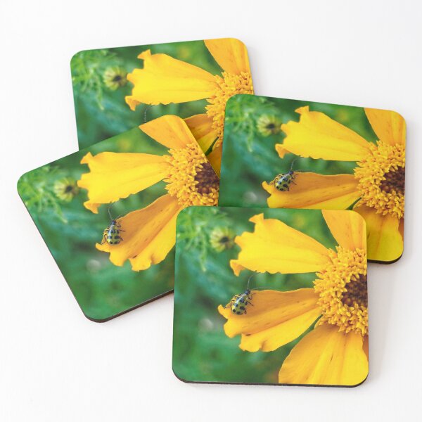 Item preview, Stop Bugging me! Says the Sunflower designed and sold by DanLaFollette.