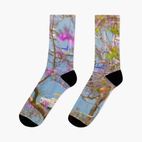 Item preview, So Nice They've Started Again - Jacarandas designed and sold by ShotsOfLove.