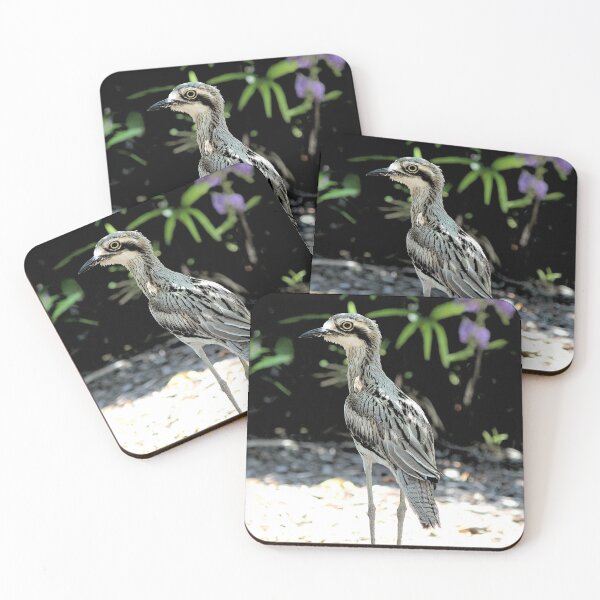 Item preview, Bush stone curlew designed and sold by CazDPhotos.