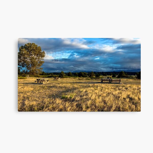 Item preview, Autumn in Picnic  Area of Regional Park  designed and sold by AlexLyubar.