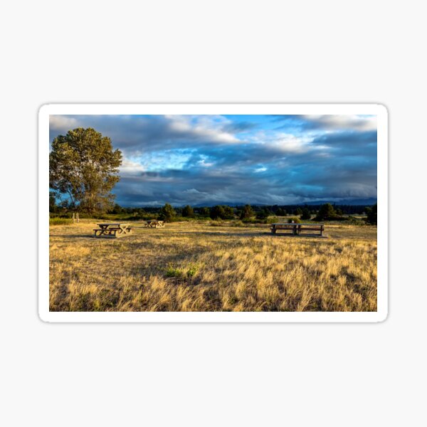Item preview, Autumn in Picnic  Area of Regional Park  designed and sold by AlexLyubar.