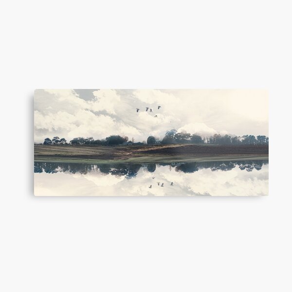 Reflected Landscape Metal Print
