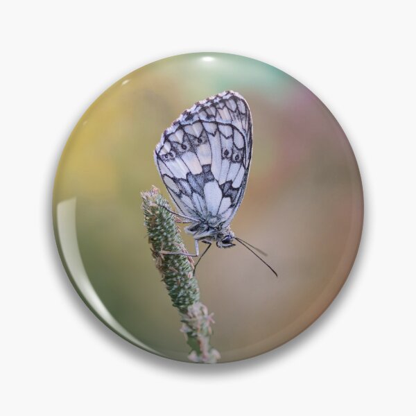 Item preview, Checkered Butterfly designed and sold by thedvguy.