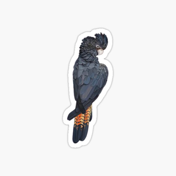 Item preview, Black Cockatoo  designed and sold by DeclanTheFirth.
