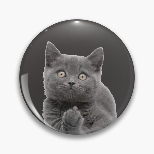 Artikelvorschau, Katze gibt den Vogel entworfen und verkauft von CockTees.