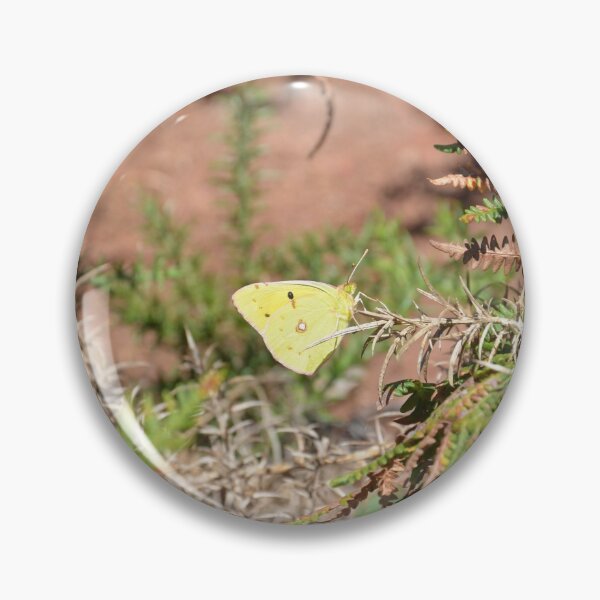 Item preview, Clouded Yellow Butterfly designed and sold by Malcolm Snook.