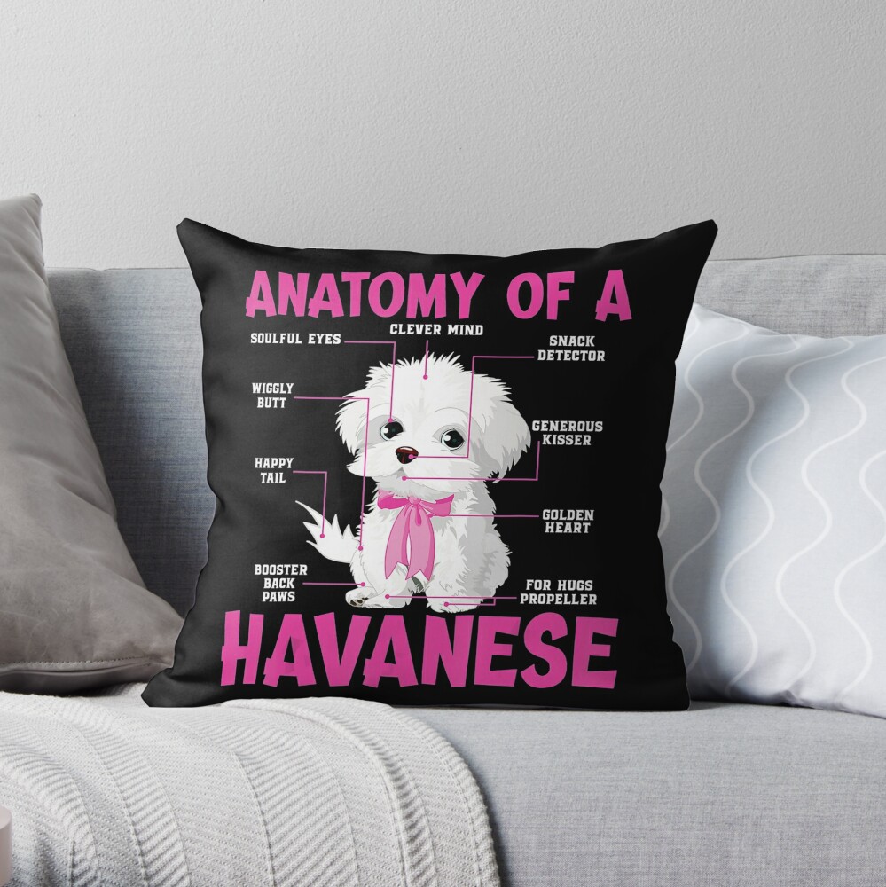 pillow talk havanese