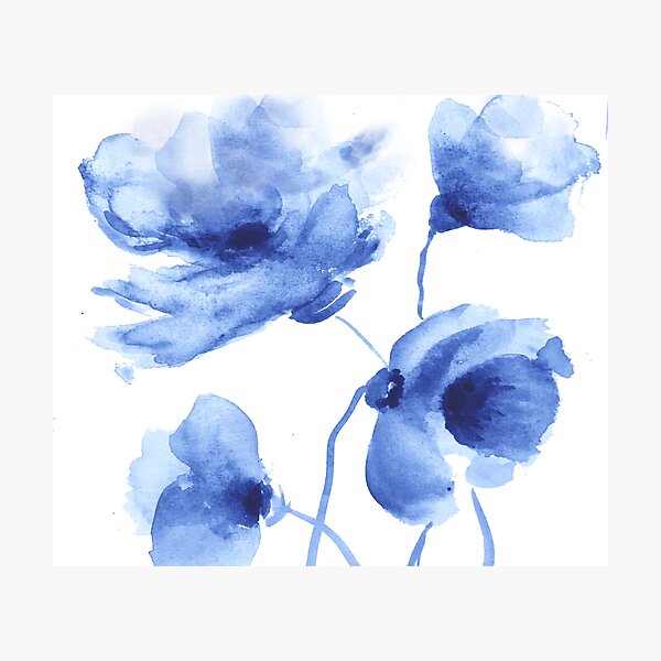 Blue Poppy Watercolor Photographic Print
