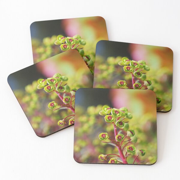 Item preview, Mediterranean Spurge Green Plant  designed and sold by Joy Watson - Natural Light Photography .