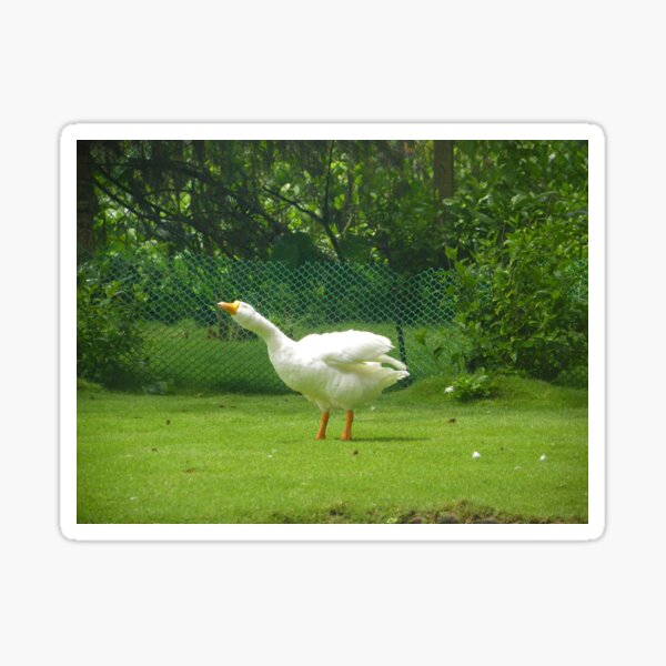 Goose Sticker
