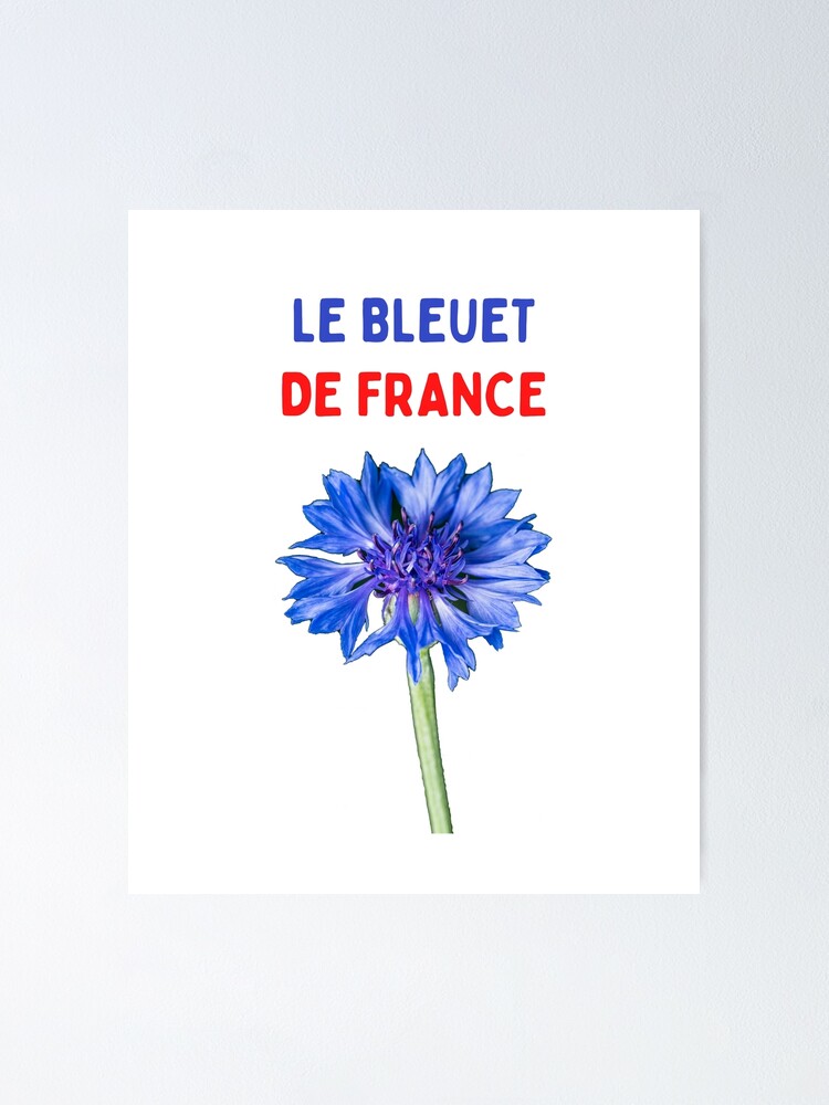 Bleuets for remembrance in France