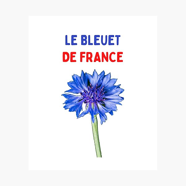 Item preview, Le bleuet de France designed and sold by DK-PODsolutions.