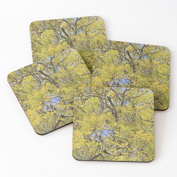 Item preview, Taree designed and sold by Jodie Cooper.