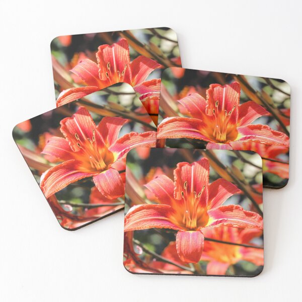 Item preview, Beautiful blooming tender gorgeous blooming Lily flower and stamen in the sunshine, flower bed of the garden. designed and sold by FENIO.