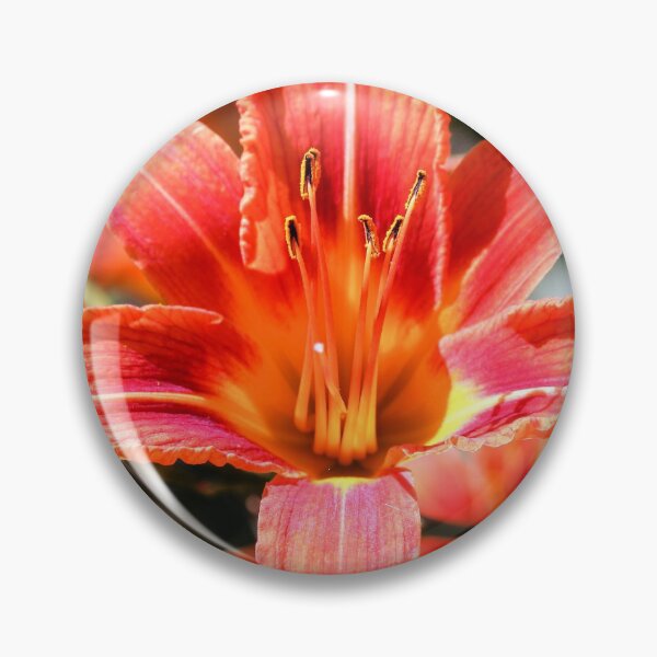 Item preview, Beautiful blooming tender gorgeous blooming Lily flower and stamen in the sunshine, flower bed of the garden. designed and sold by FENIO.