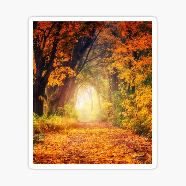 Into The Autumn Woods Sticker