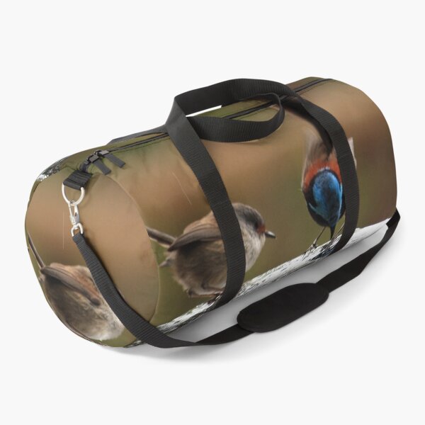 Item preview, Splendid Wrens designed and sold by Rosdenphoto.