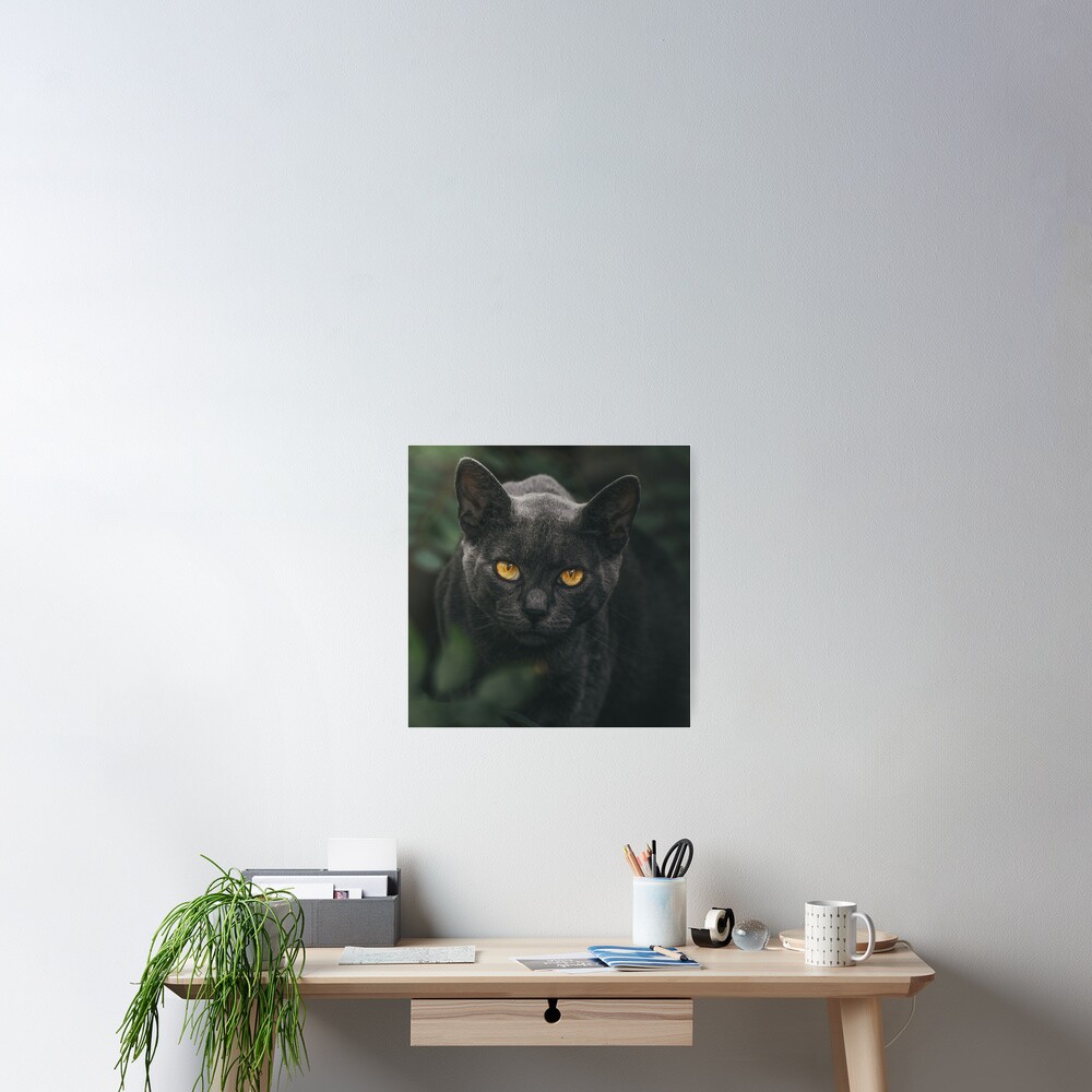 Item preview, Poster designed and sold by NatashaE.