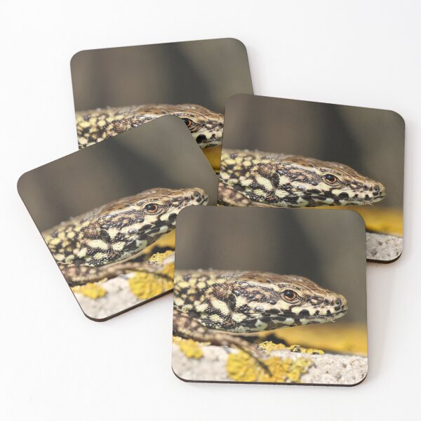 Item preview, Wall Lizard - Sussex, UK. designed and sold by Christian Moss.