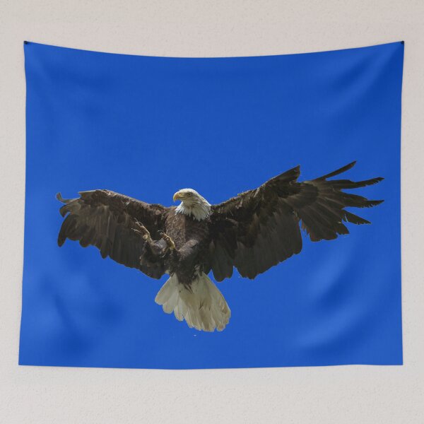 Item preview, Majestic Bald Eagle designed and sold by StevenElliot.