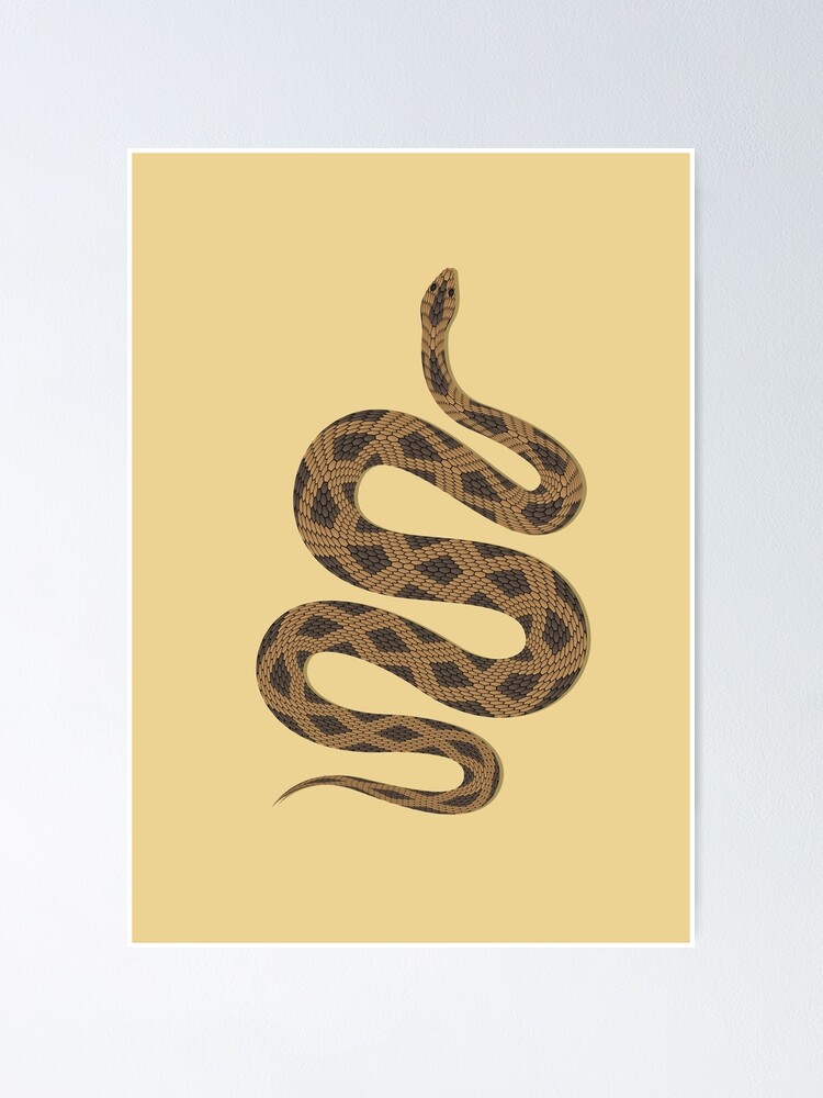 "snake discord" Poster by smoophys | Redbubble