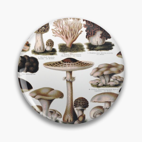 Item preview, Pilze i - Retro Mushroom Poster, Autumn Shrooms Chart, Vintage Nature Fungi Compilation (solid background) designed and sold by Larkwort.