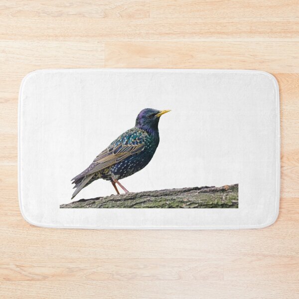 Item preview, Sparrow Bird-Great Sparrow Clothing/Sparrow Accessories for Sparrow lovers! designed and sold by Printoweb.