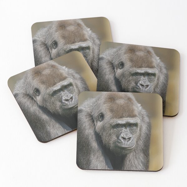 Item preview, Female Gorilla designed and sold by rawshutterbug.