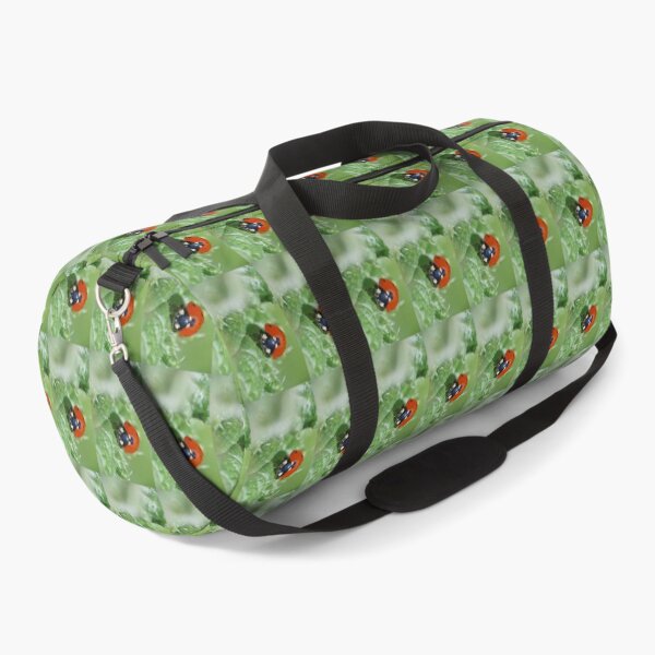 Item preview, the Star :(4) coccinelle-ladybug by Olao-Olavia / Okaio Créations 2015 by fz 1000 400.000 photos framings different picture on request on each support designed and sold by o.okaïo.