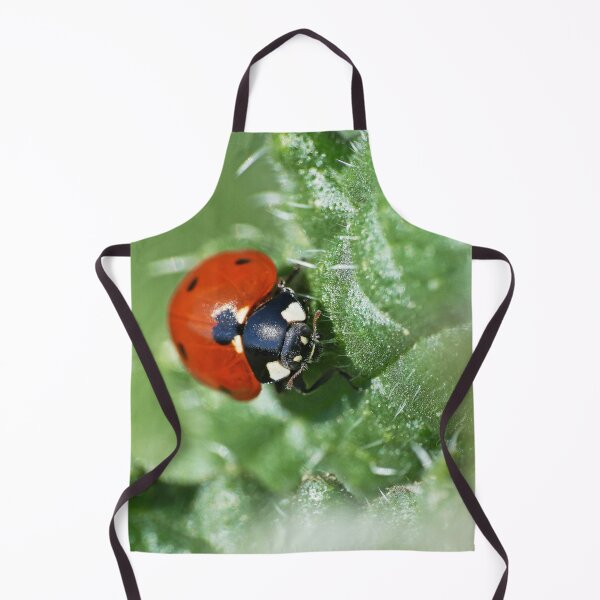 Item preview, the Star :(4) coccinelle-ladybug by Olao-Olavia / Okaio Créations 2015 by fz 1000 400.000 photos framings different picture on request on each support designed and sold by o.okaïo.