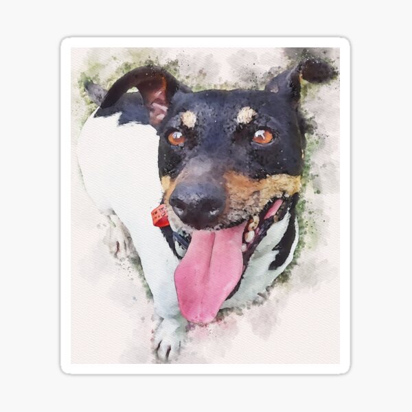 Ollie Sticker