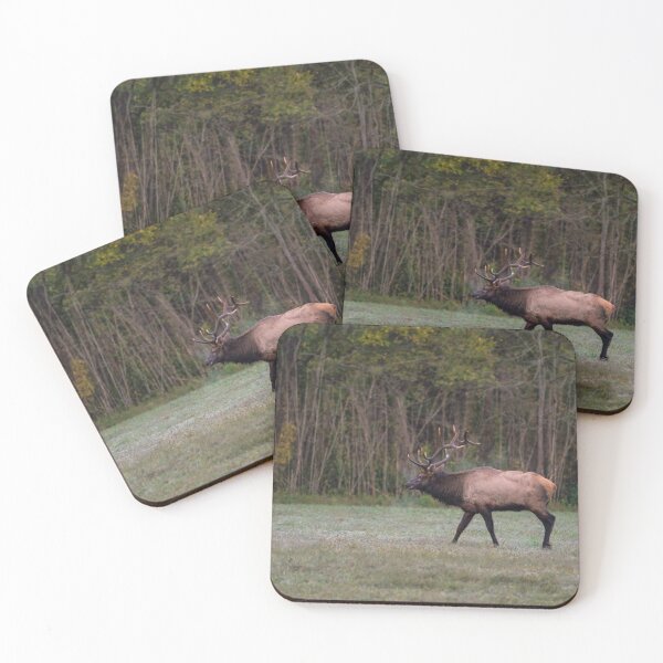 Item preview, Bull Elk Morning Walk designed and sold by mljdwhite.