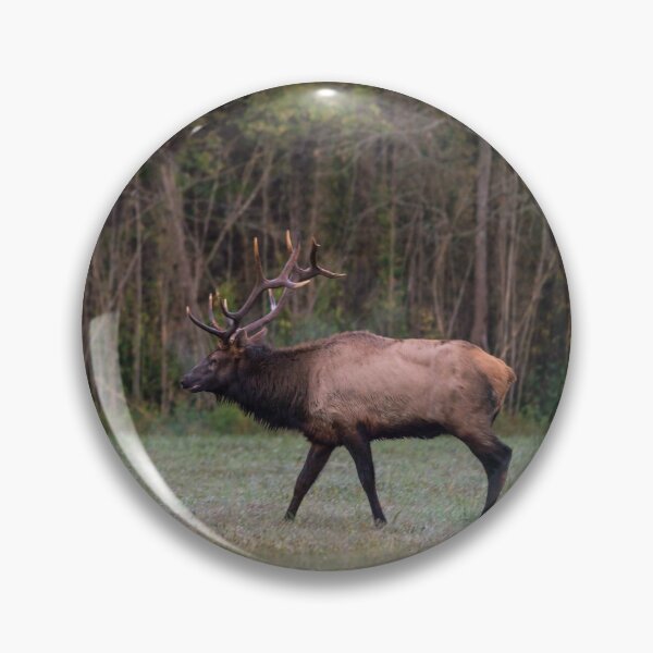 Item preview, Bull Elk Morning Walk designed and sold by mljdwhite.